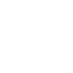Angular logo