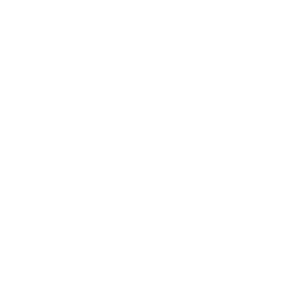 Deno logo