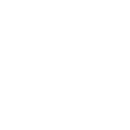 .NET MAUI logo