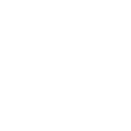 Elasticsearch logo