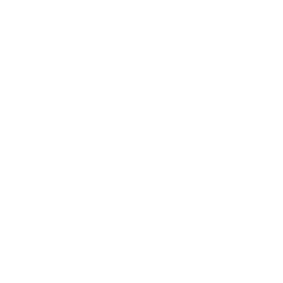 Express.js logo