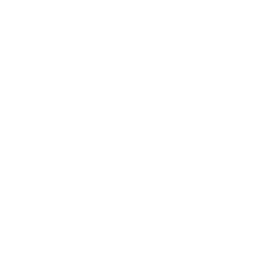 Fly.io logo