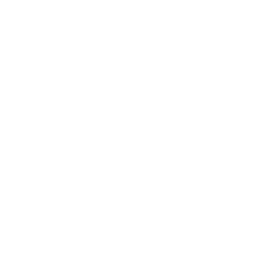 IBM Cloud logo