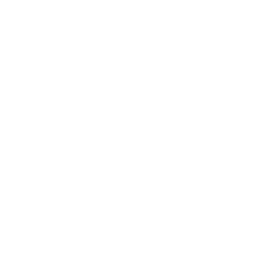 NumPy logo