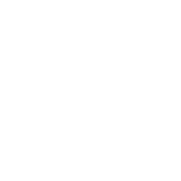 Ollama logo