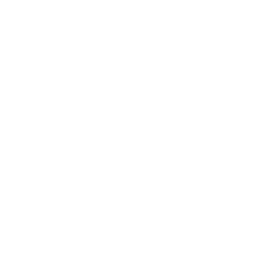 OpenSearch logo
