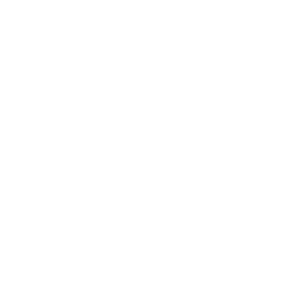 Sentry logo