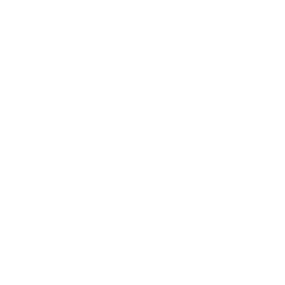shadcn/ui logo