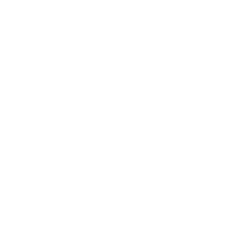 Socket.IO logo