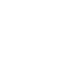 Wagmi logo