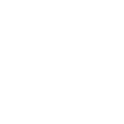 Zustand logo